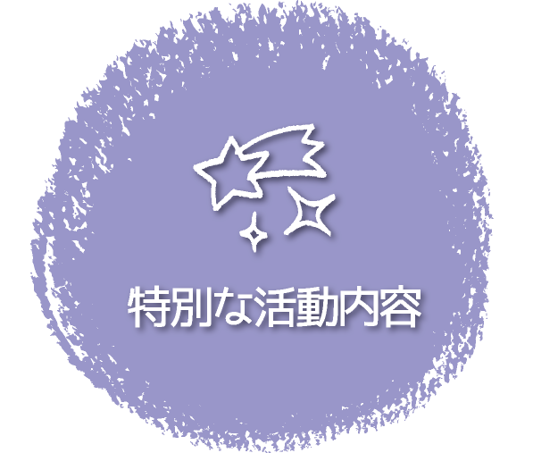 特別な活動内容